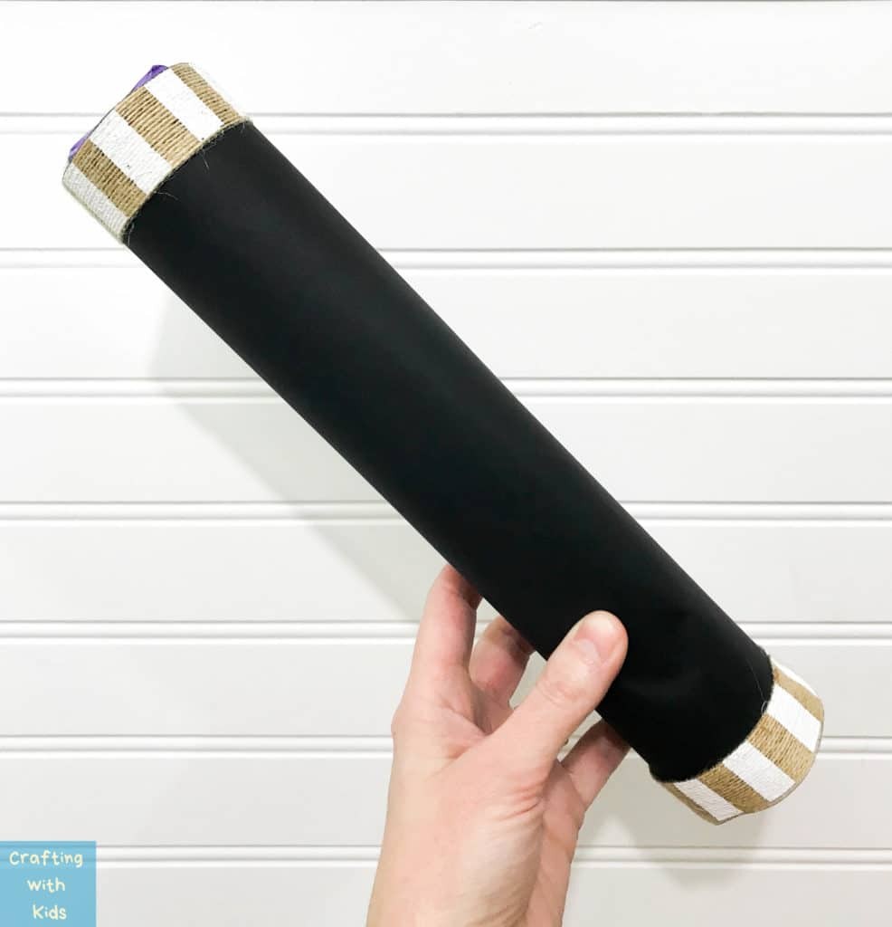 Paper Towel Roll Rainstick