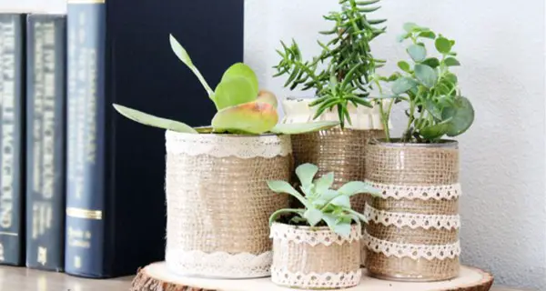 Burlap Succulent Planter