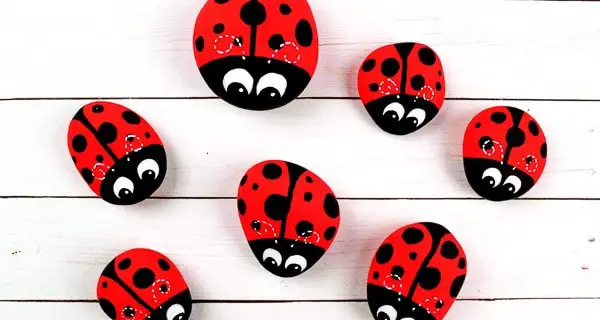 Ladybug Rock Pets