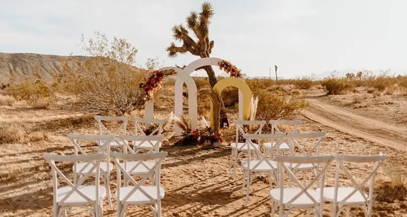 Desert Wedding