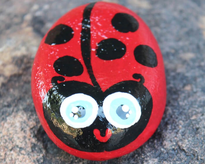 Ladybug Rock