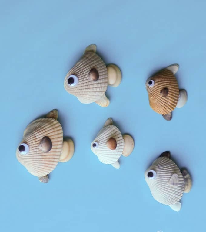 Seashell Fish