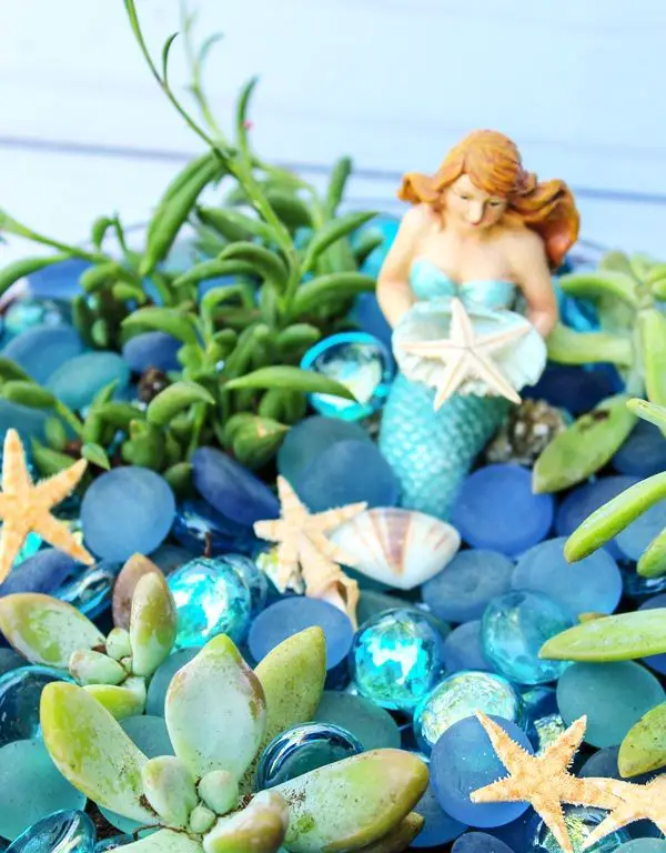 Underwater-Inspired Succulent Garden