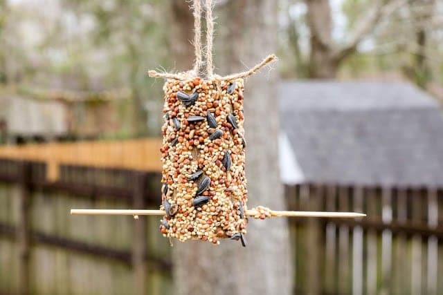 Hanging Bird Feeder