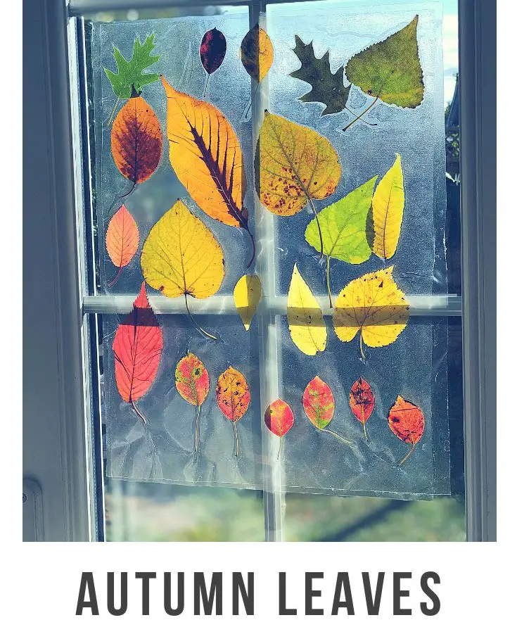 Autumnal Sun Catcher