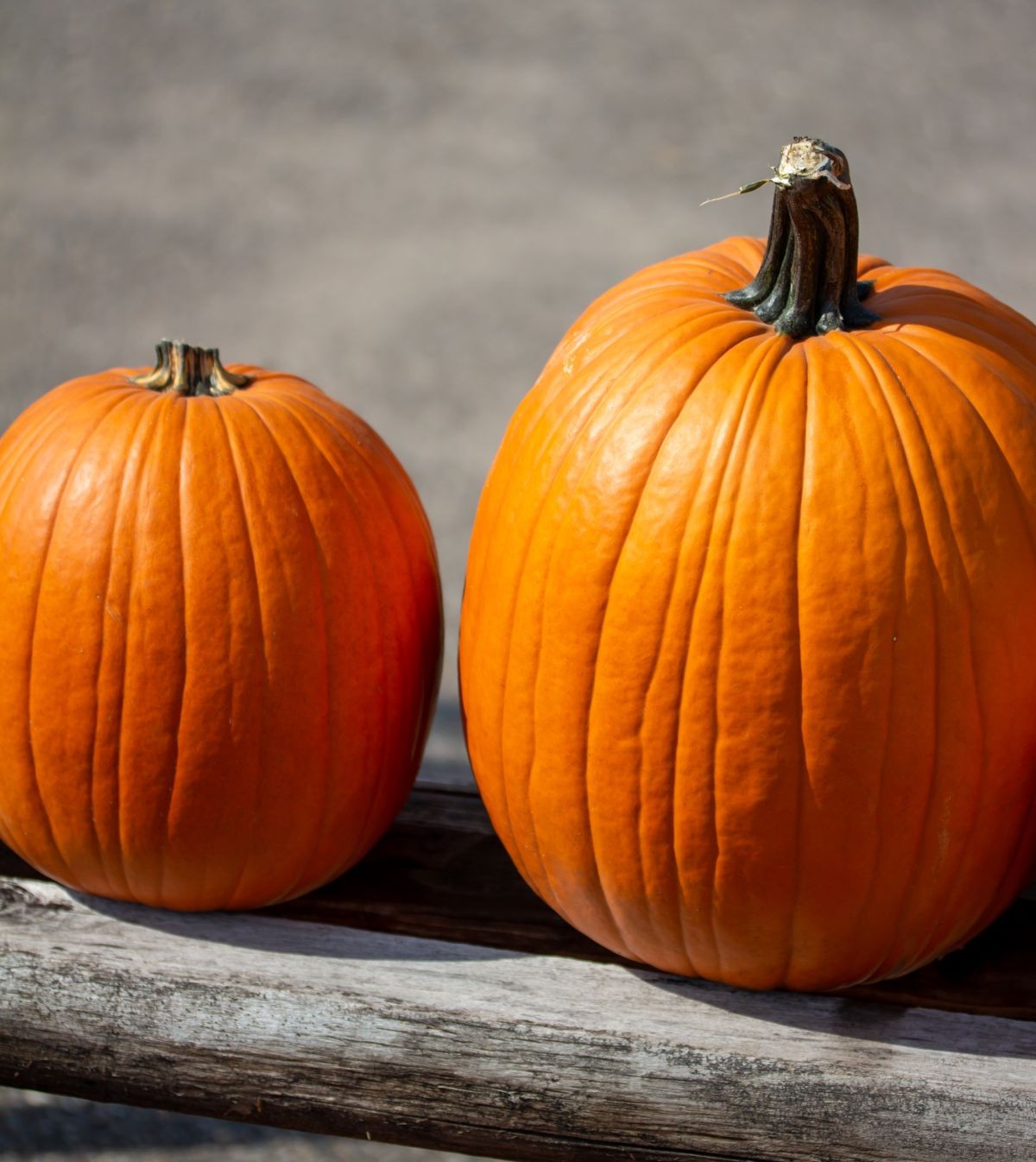 Pumpkin Toss