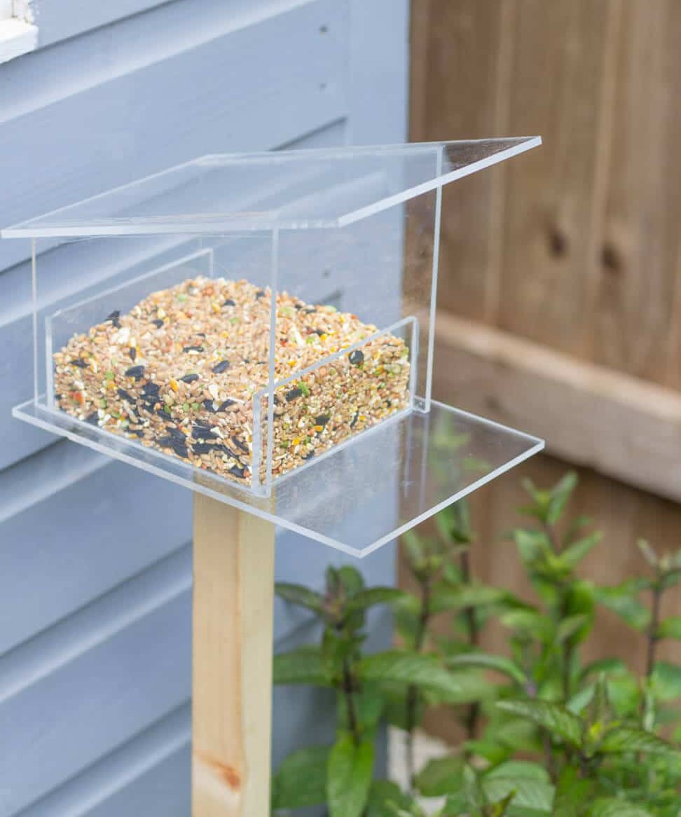 Bird Feeder