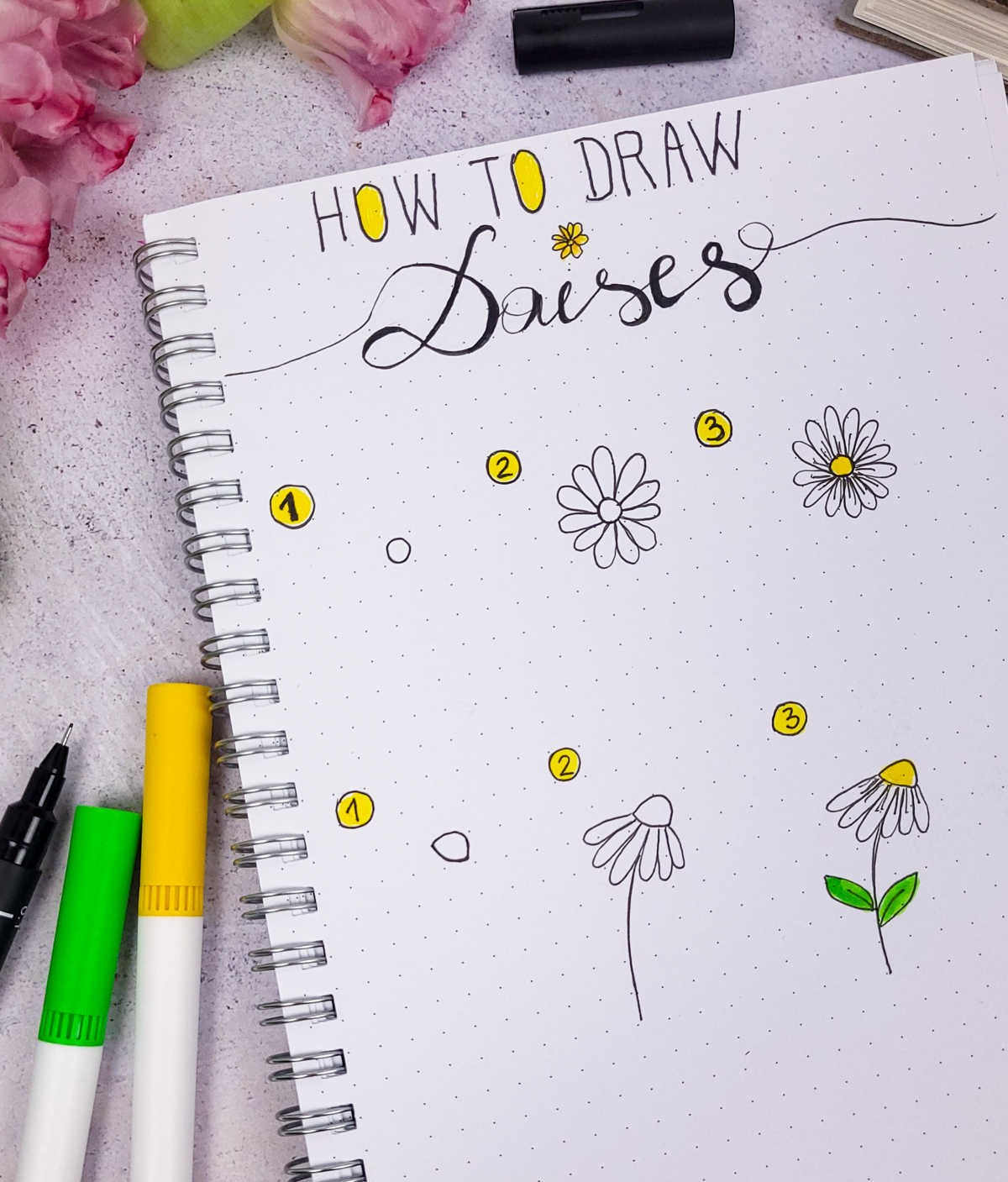 How to Draw Daisies