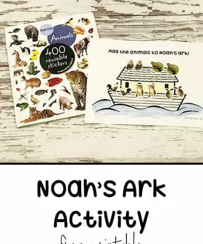 Noah’s Ark