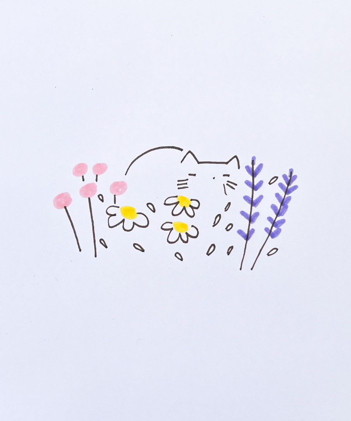 Cat in Flower Field