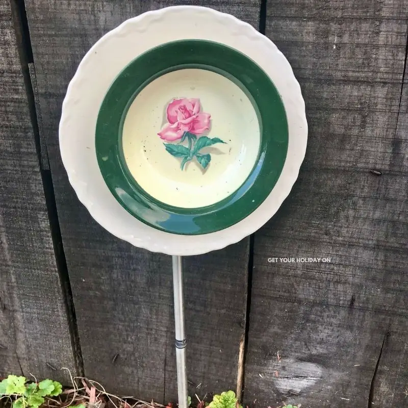 Dish Garden Flowers