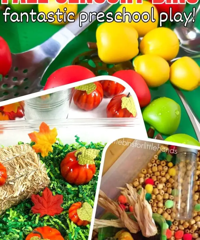 Harvest Sensory Bin