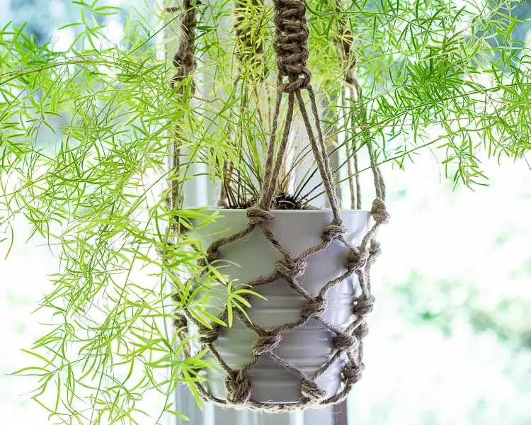 Fishnet Hanging Planter