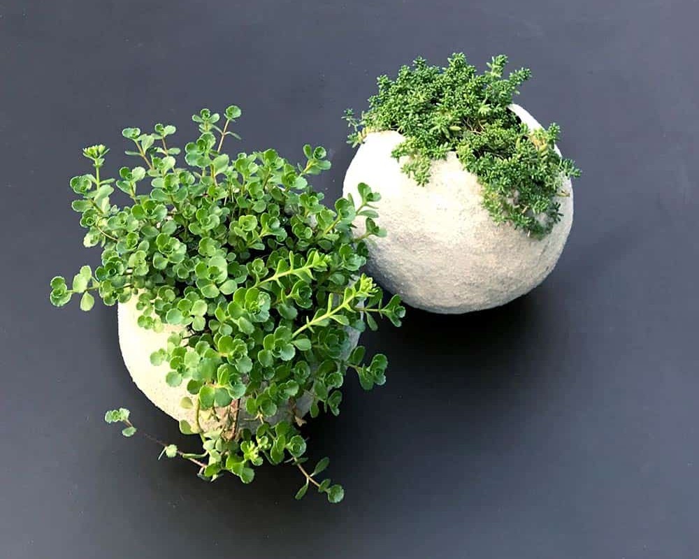 Cement Balloon Planters