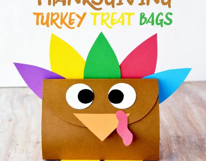 Turkey Treat Bags