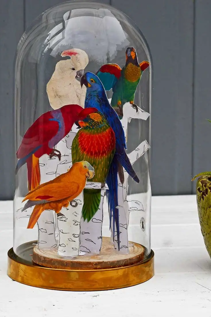 Tropical Parrot Paper Craft