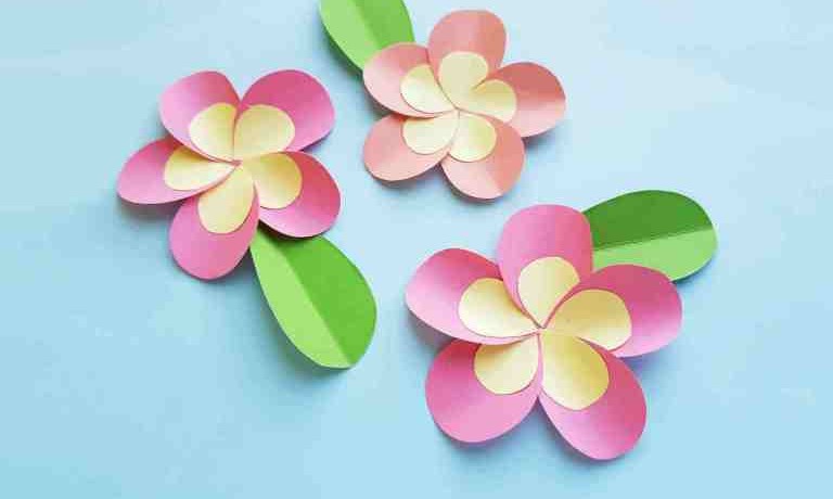 Plumeria Flower Craft