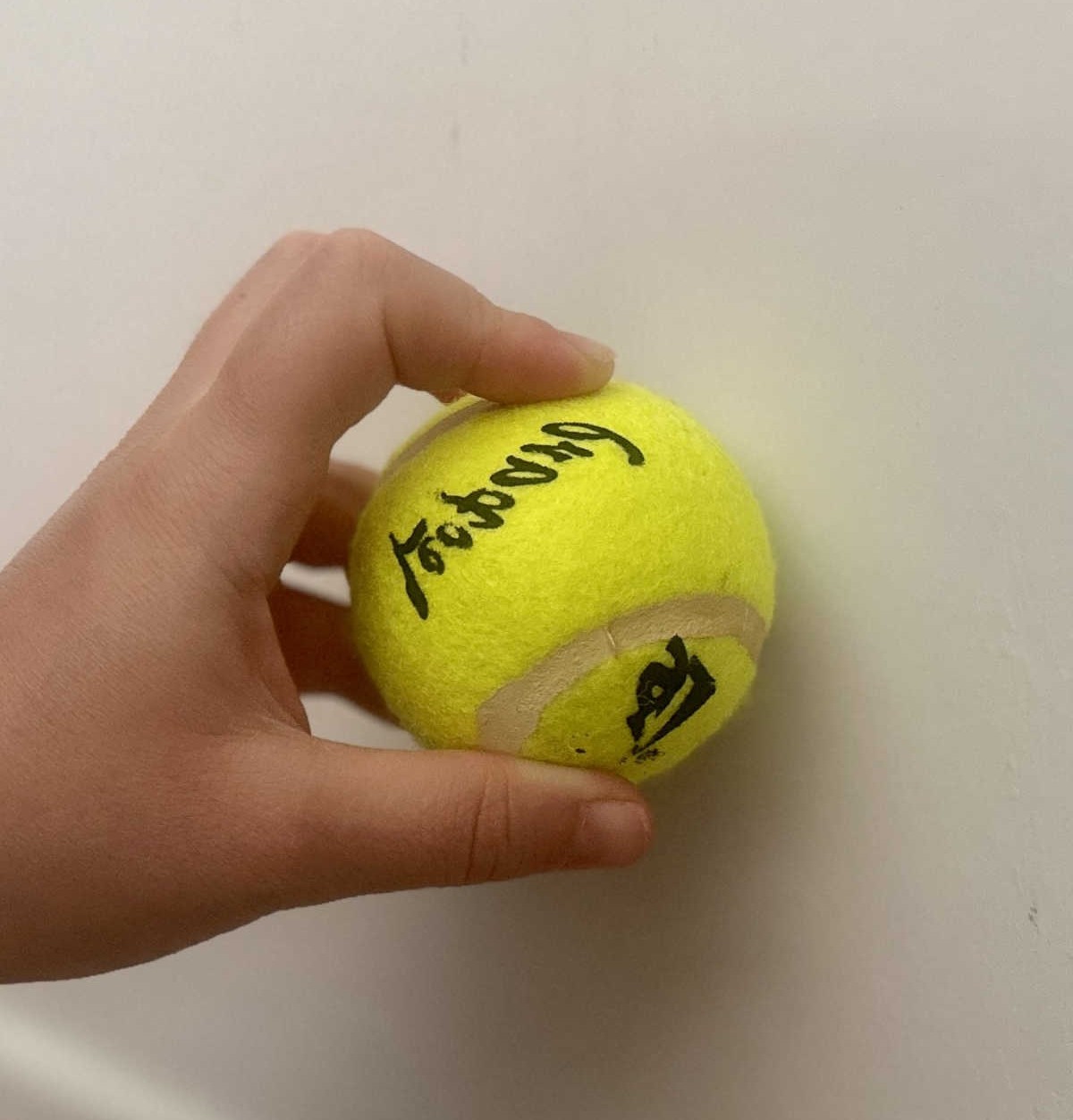 Use a Tennis Ball to Remove Stains on the Wall