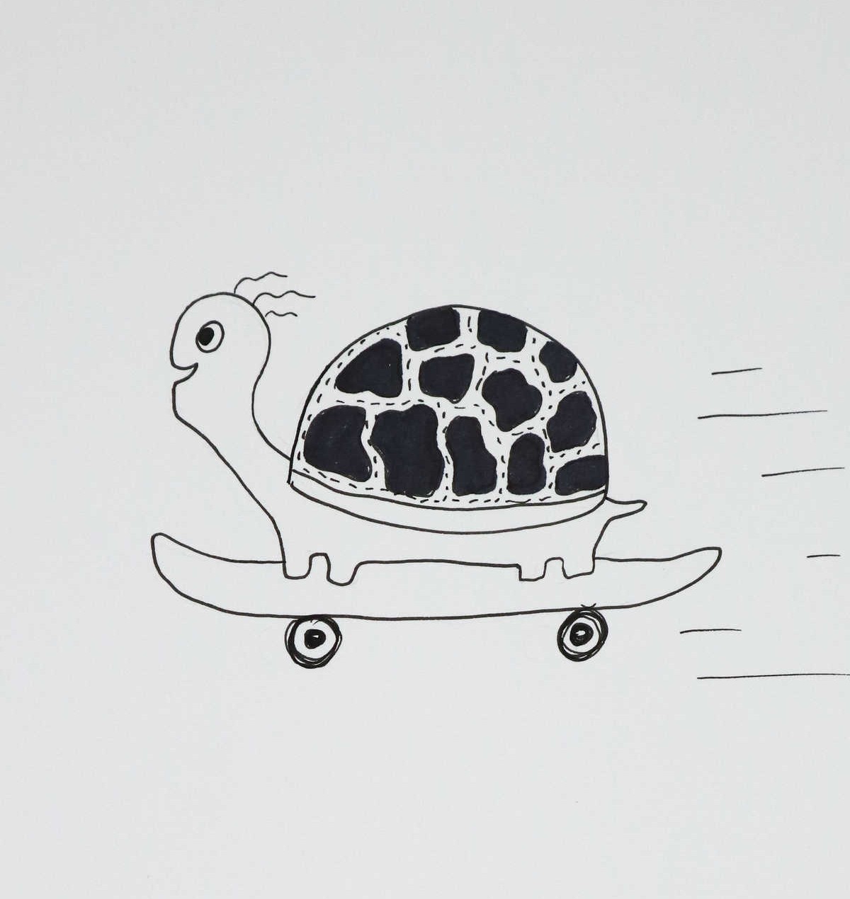 Skateboarding Turtle