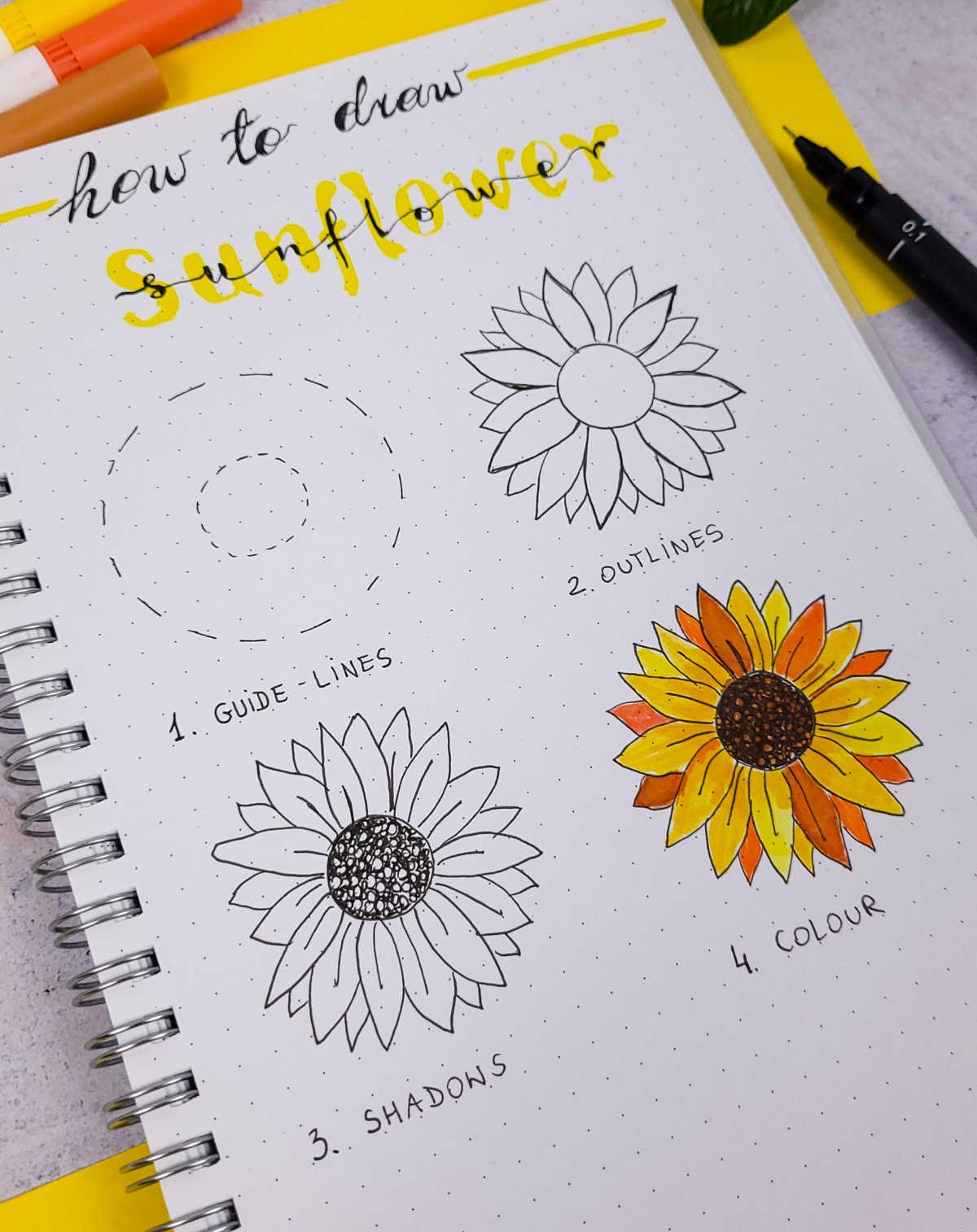 How to Draw Sunflowers