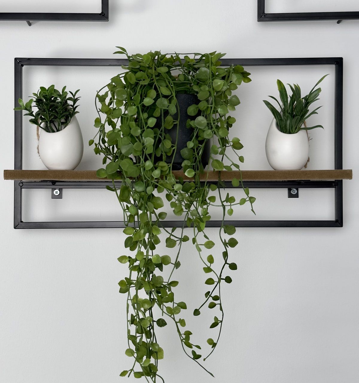 Place Your Plants On Shelves