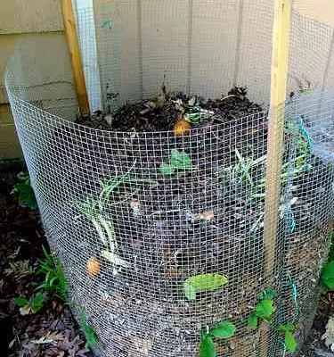 Compost Bin For Kitchen Scraps