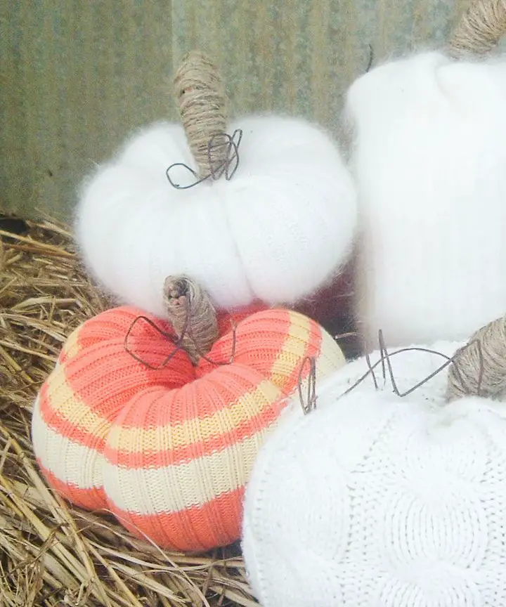 No-Sew Sweater Pumpkins