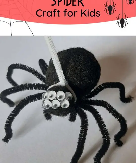 Pet Spider Learning Craft