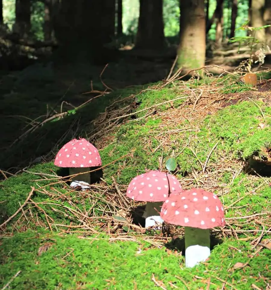 Fairy Toadstools