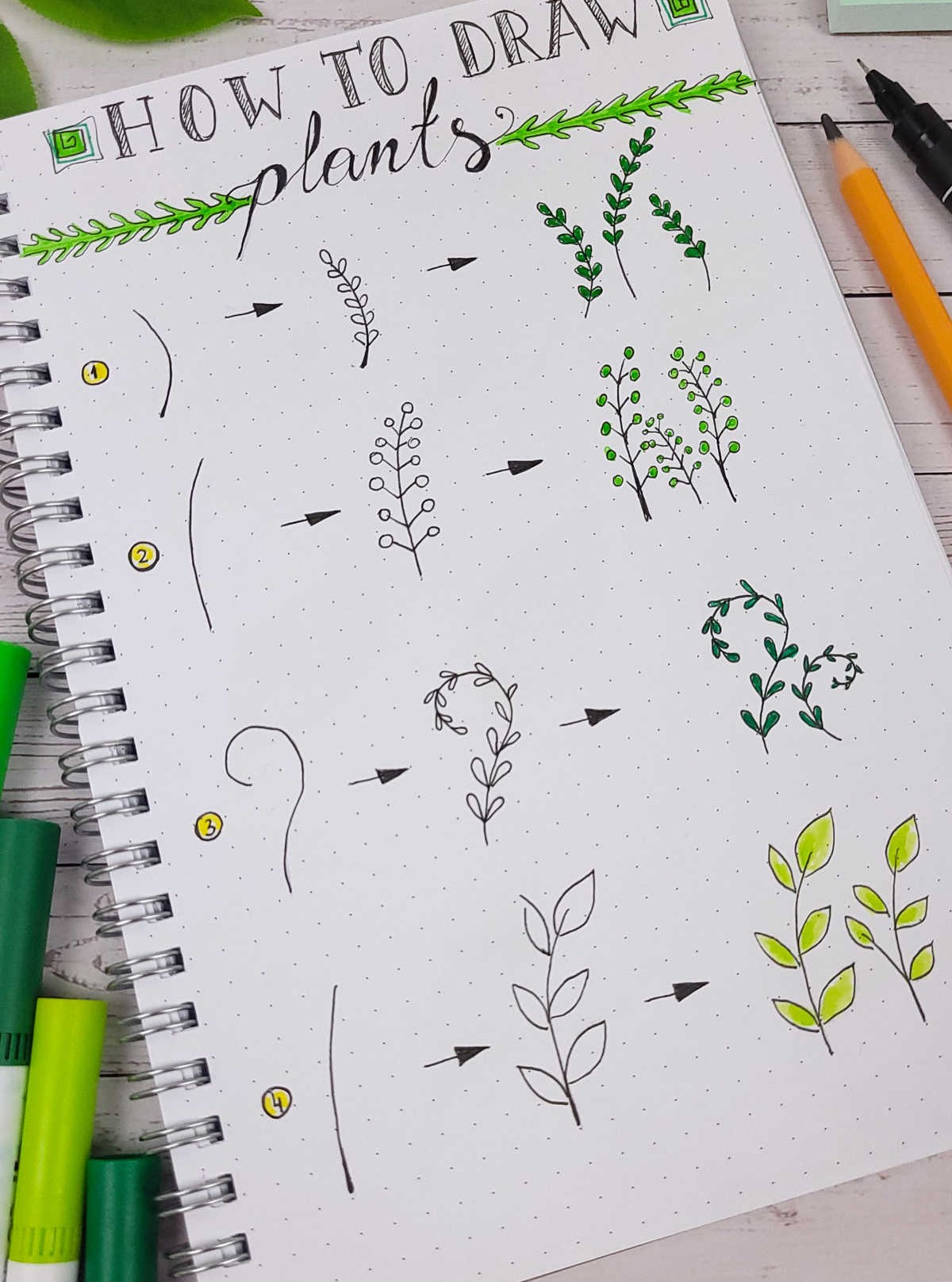 How to Draw Plants