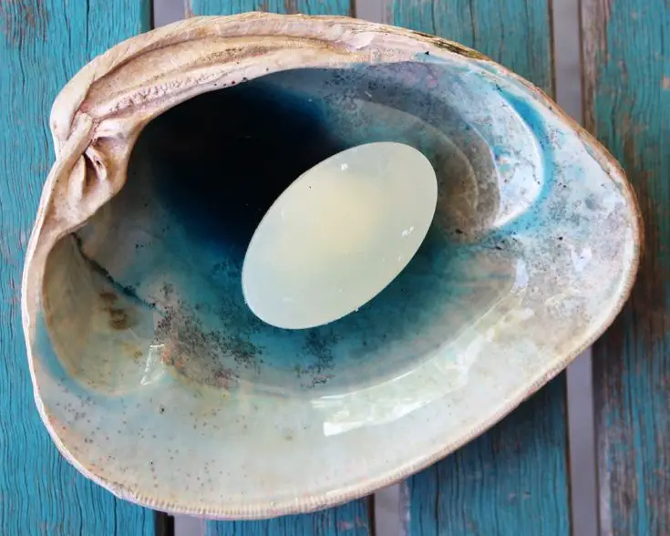 Resin Seashell Soap Dish