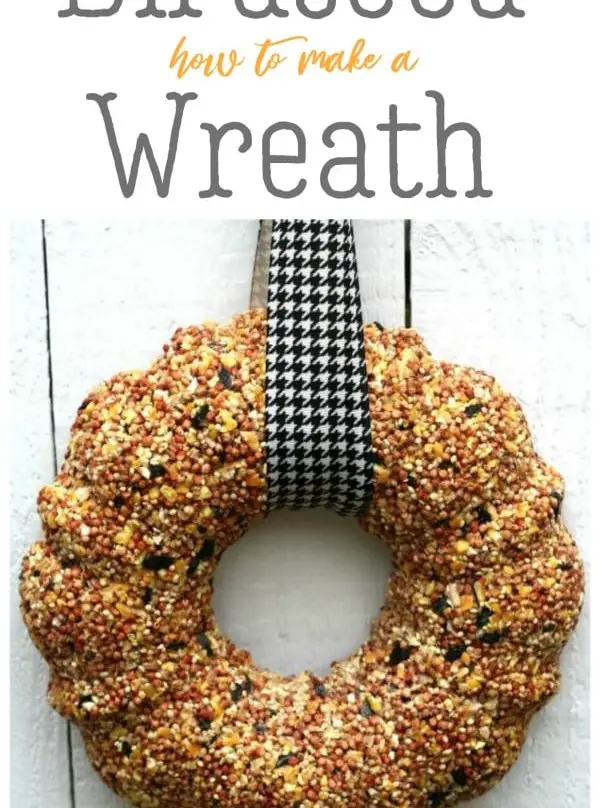 Birdseed Wreath