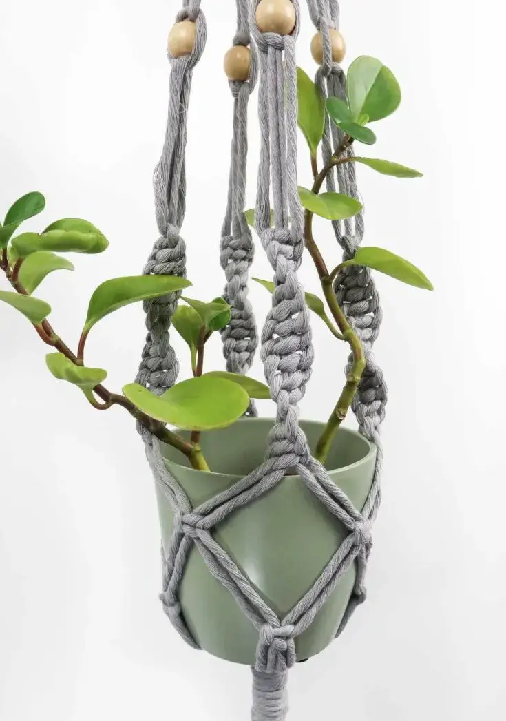 Macrame Plant Hanger