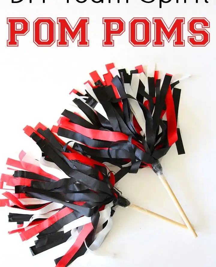 Cheer Pom Poms