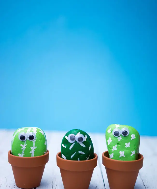 Pet Cactus Rocks