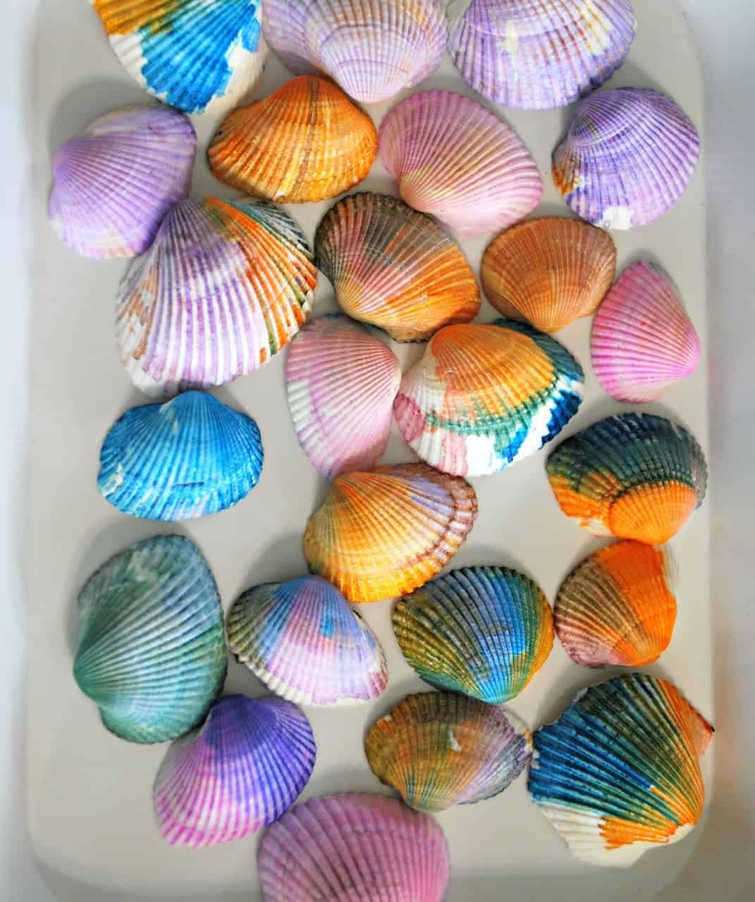 Watercolour Seashells