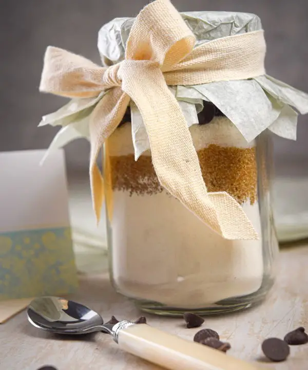 Chocolate Chip Cookie Jar