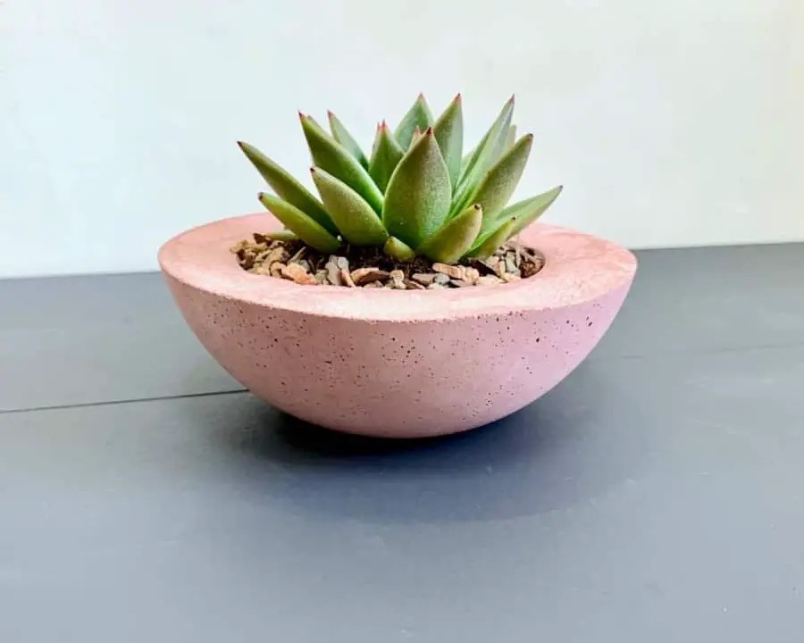 Pink Cement Planter