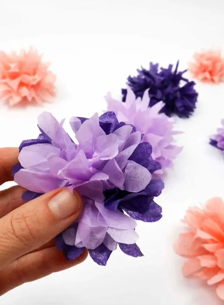 Tissue Paper Flowers