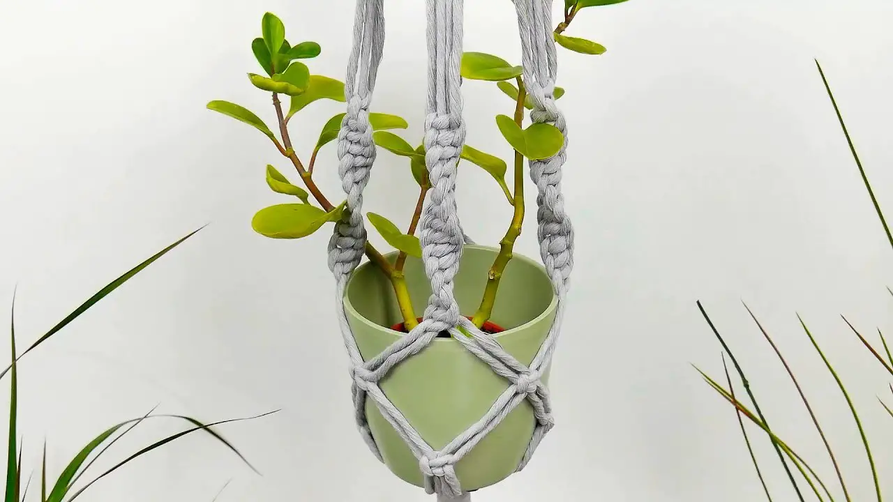 Watch on Youtube: Macrame Plant Hanger