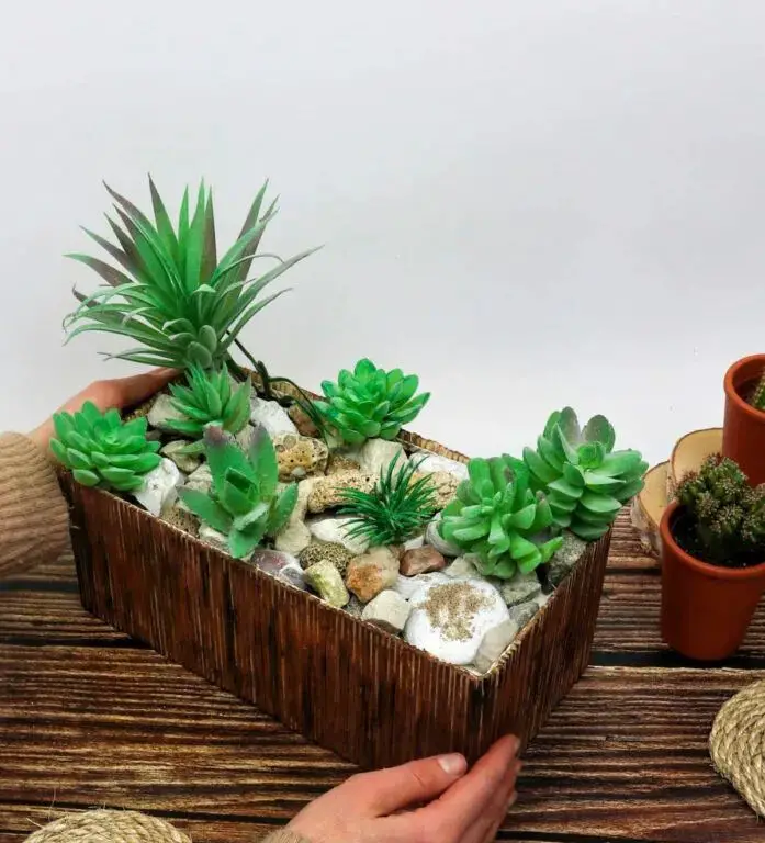 Succulent Planter