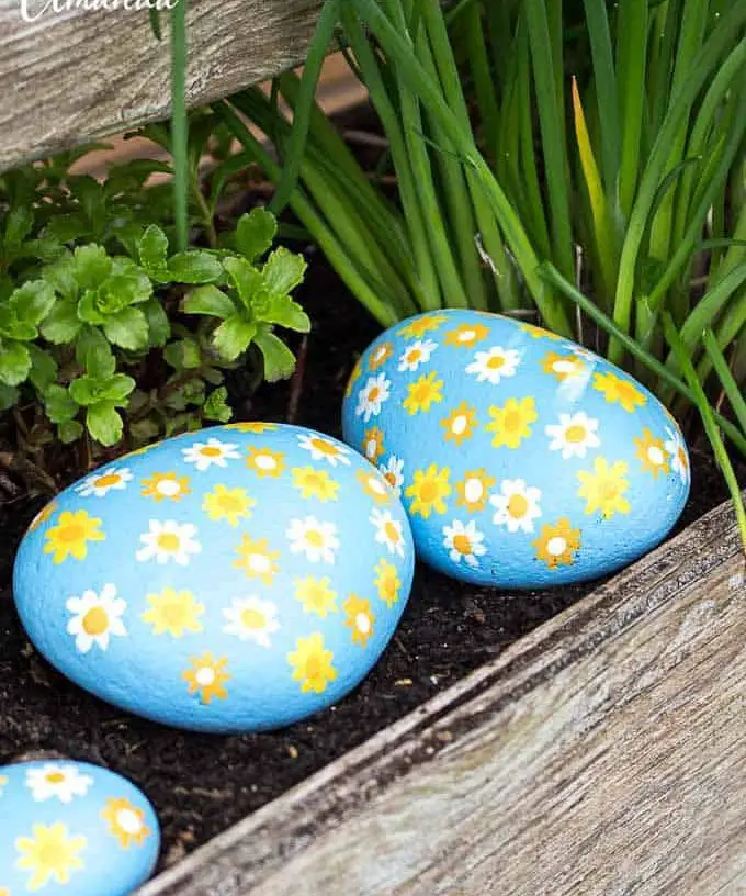 Daisy Painted Rocks