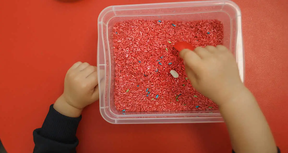 Sensory Bin