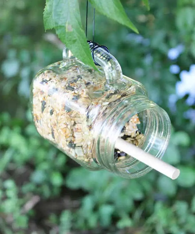 Bird Feeder