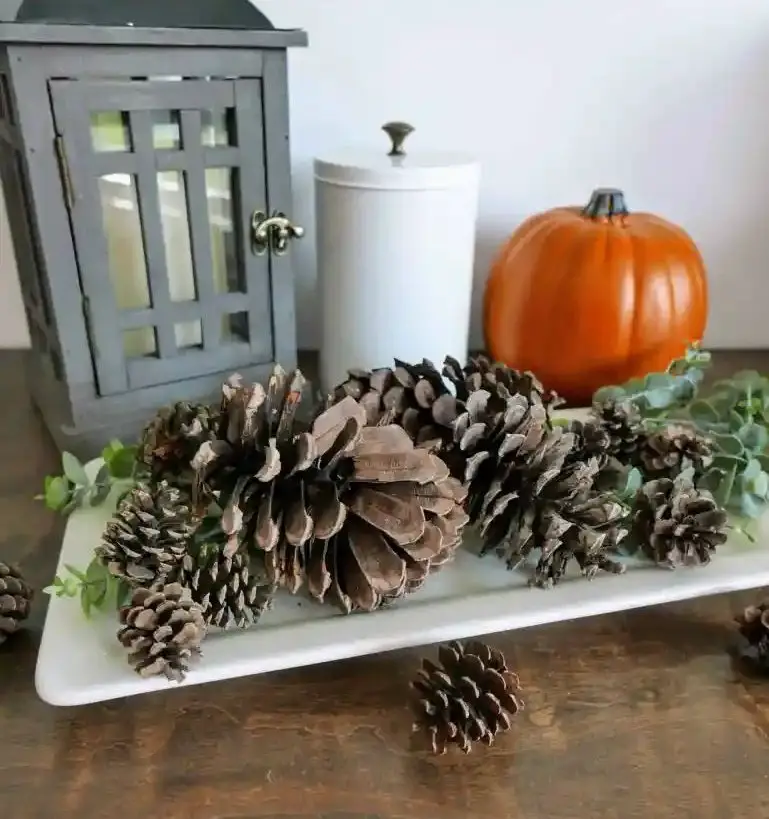 Scented Pinecones