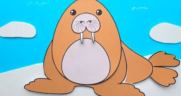 Walrus