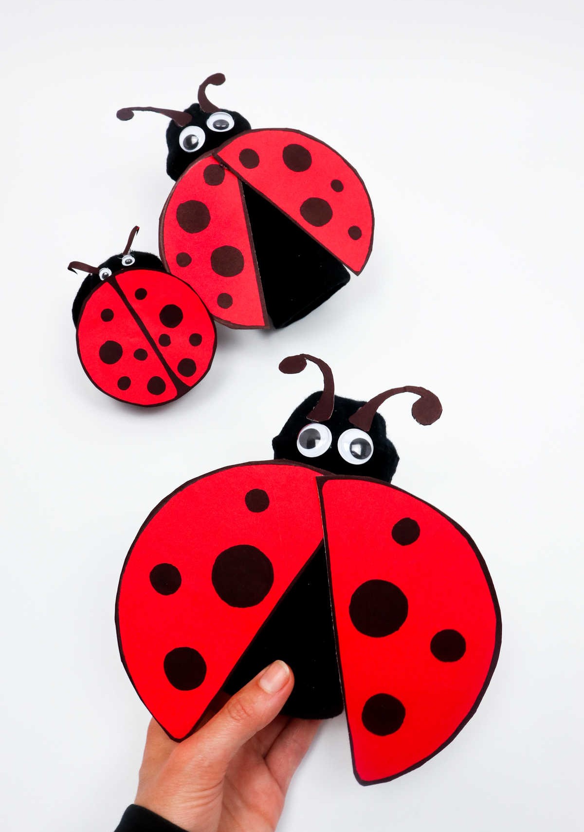 Ladybug Craft Out of Toilet Paper Roll