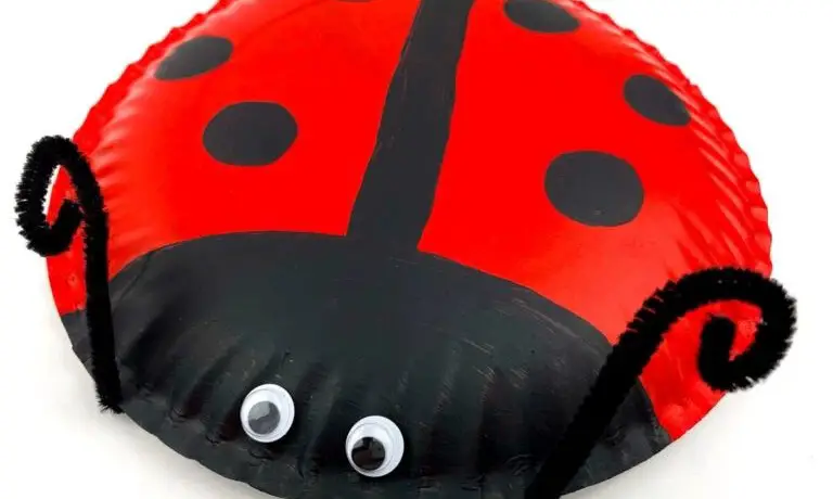 Ladybug